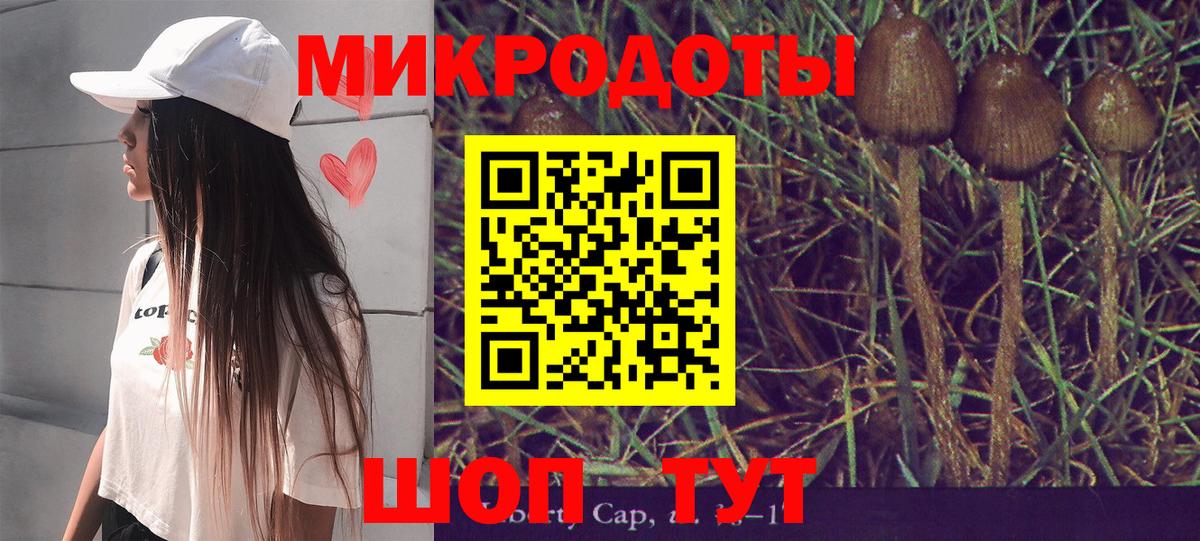 Вязники  Галлюциногенные грибы Psilocybe  Галлюциногенные грибы Psilocybe  Вход с VPN 